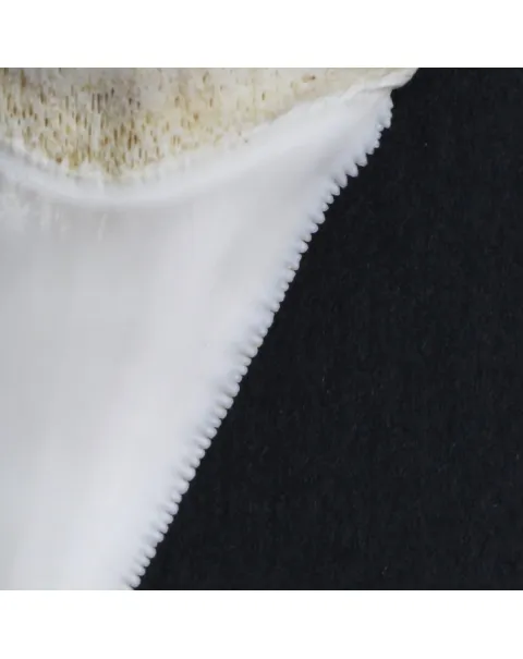 Dente di Squalo Bianco