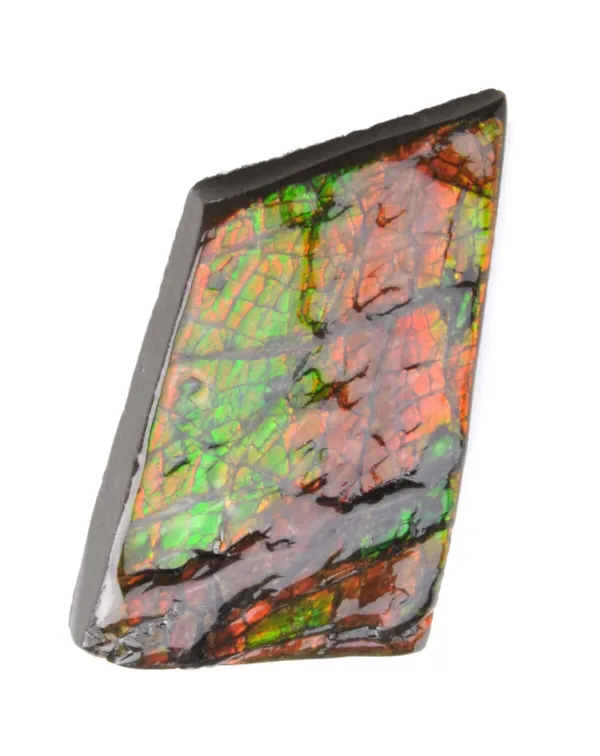 Ammolite