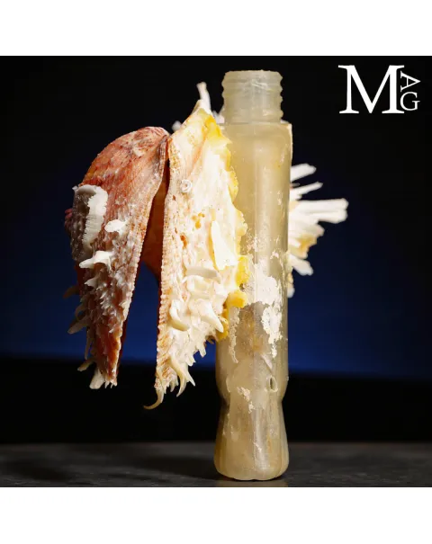 Reperto dell’Antropocene – Plastica e Vita Marina.