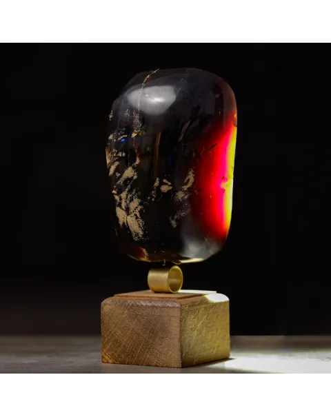 Ambra di Sumatra Un Fossile Organico da Collezione.