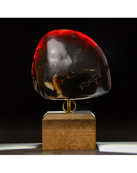 Ambra di Sumatra –  Materia Organica Fossile