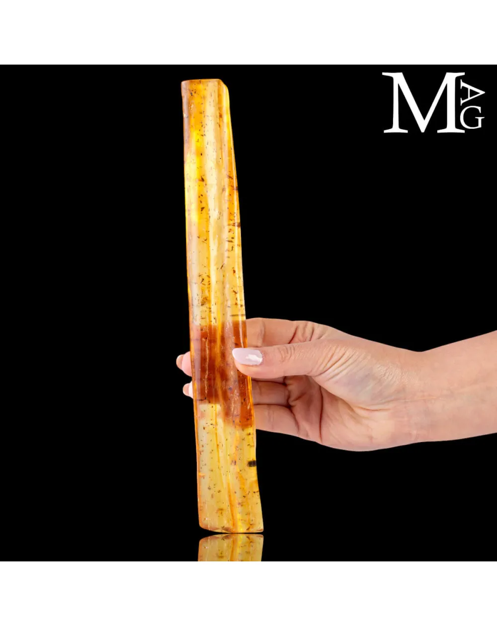 Copale fossile con insetti – Madagascar