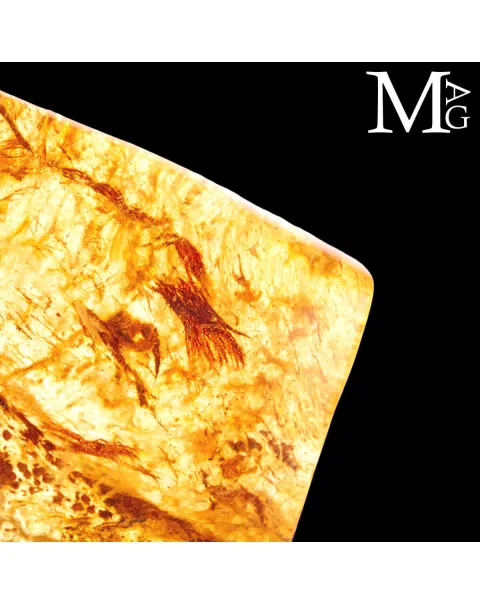 Copale Resina naturale Fossile.