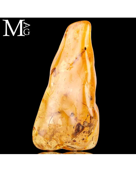 Copale fossile con insetti.