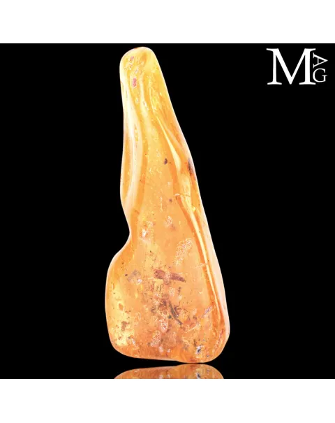Copale fossile con insetti.