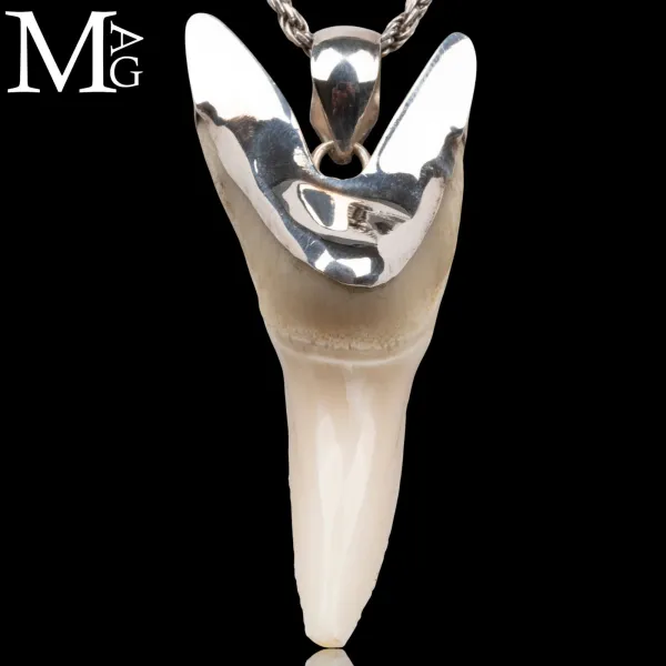 Ciondolo Dente di Squalo Mako in Argento 925