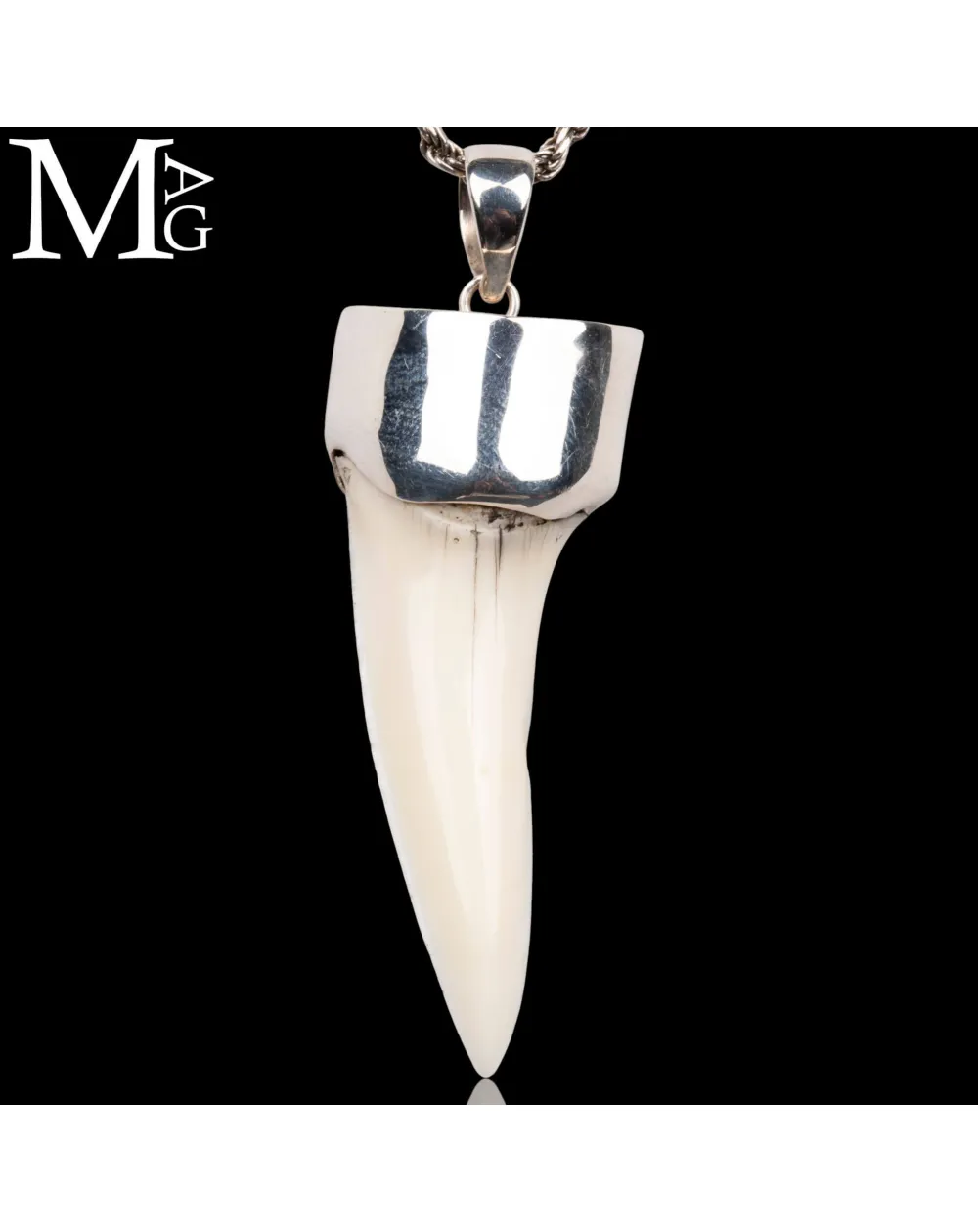 Ciondolo in Argento - Dente di Squalo Mako