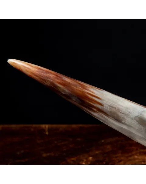 Corno di Bufalo su Piedistallo