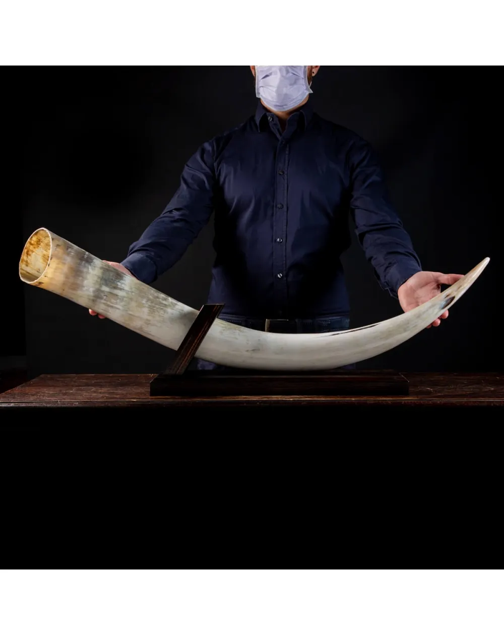 Corno di Bufalo su Piedistallo