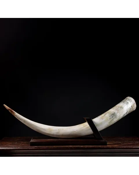 Corno di Bufalo su Piedistallo