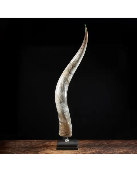 Corno di Bufalo su Piedistallo