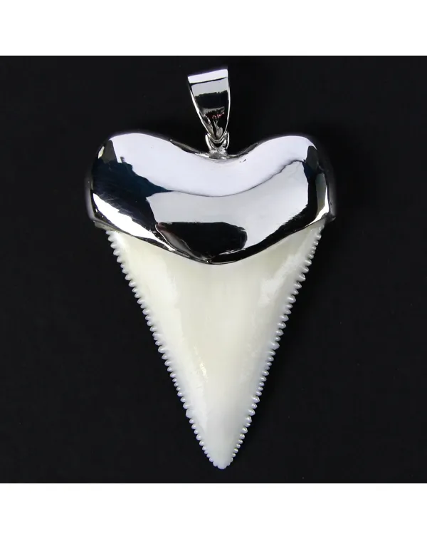 Pendente con Dente di Squalo Bianco