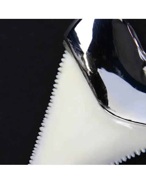 Pendente con Dente di Squalo Bianco