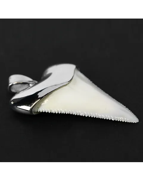 Pendente con Dente di Squalo Bianco