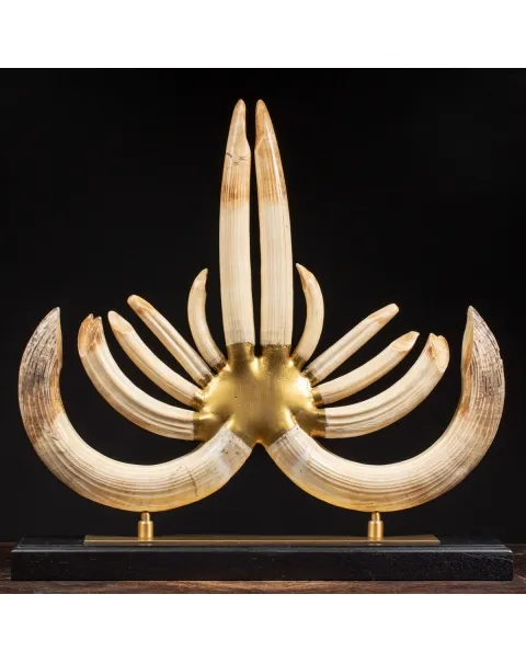 Trofeo Zanne Ippopotamo