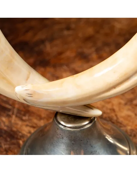 Candelabri Zanne Ippopotamo
