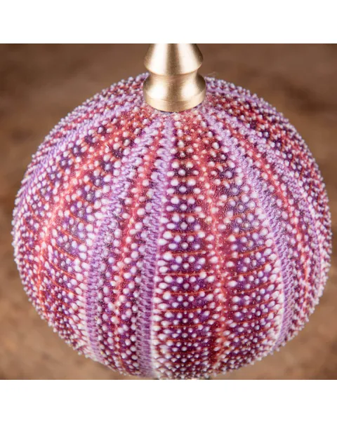 Un riccio di mare dai toni rosa e viola posto su elegante base in ottone tornito.