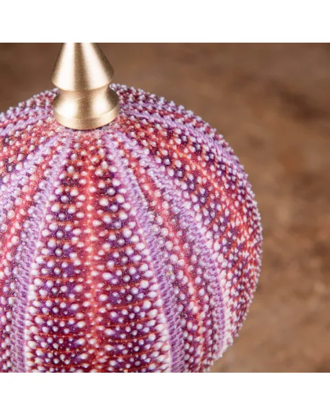 Un riccio di mare dai toni rosa e viola posto su elegante base in ottone tornito.