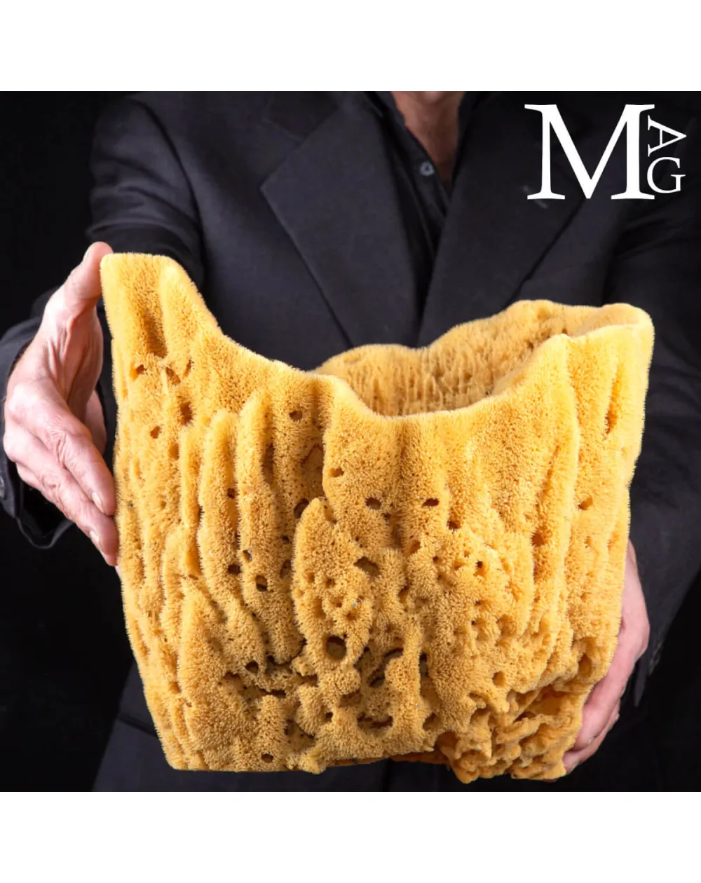 Spongia officinalis cilindrica di grandi dimensioni