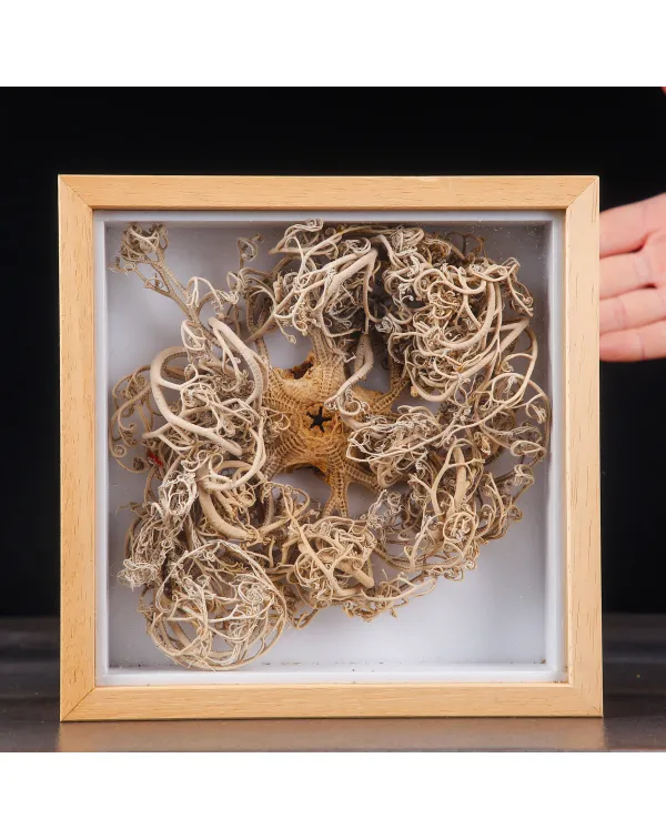 Stella Marina “Basket Star” in Teca – Gorgon...