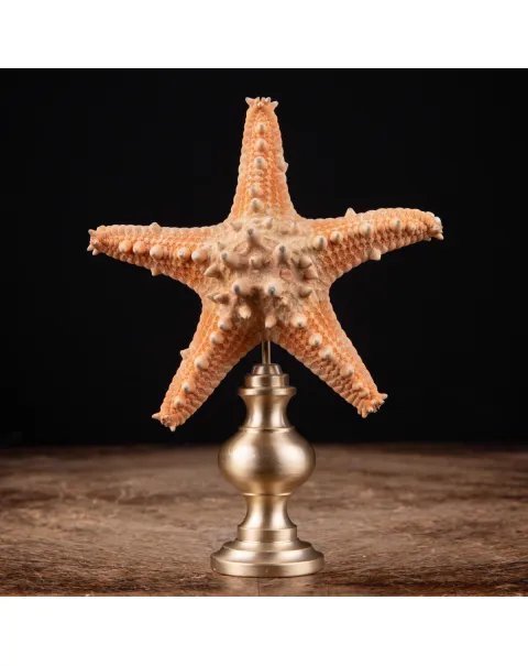 Stella di Mare su base in Ottone.