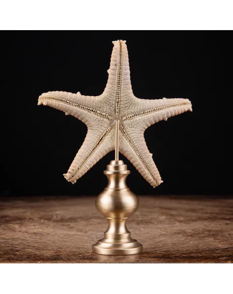 Stella di Mare su base in Ottone.