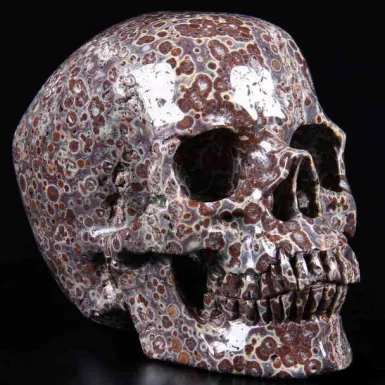Teschio di Diaspro Asteroide