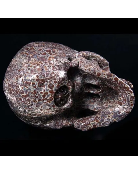 Teschio di Diaspro Asteroide