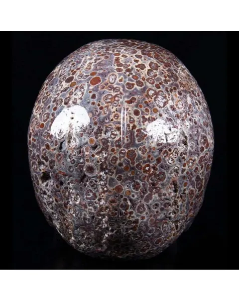 Teschio di Diaspro Asteroide