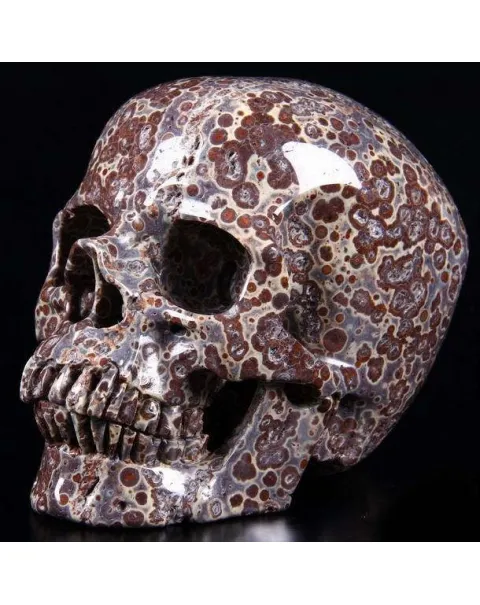 Teschio di Diaspro Asteroide