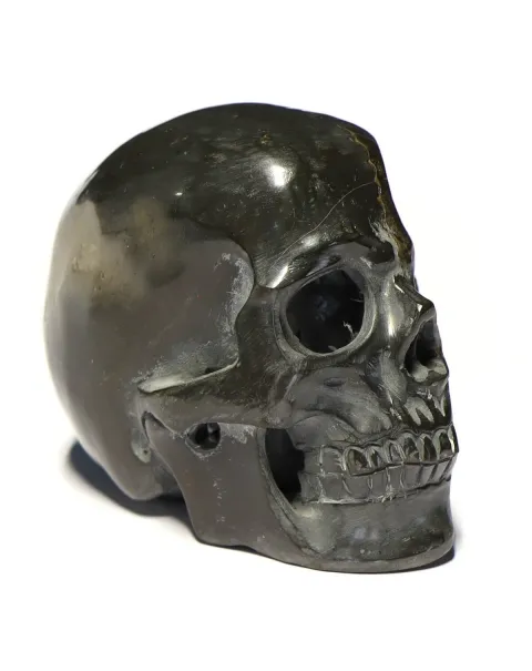 Teschio di Pirite con Ammonite