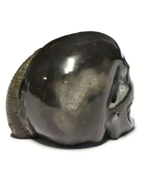 Teschio di Pirite con Ammonite