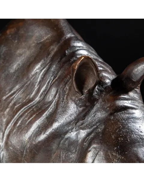 Scultura Bronzo Rinoceronte