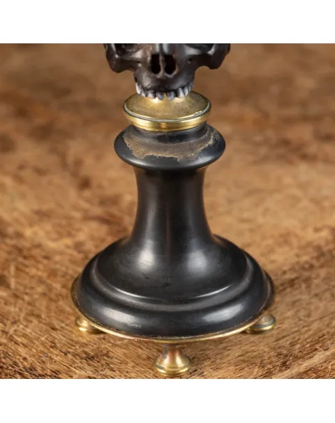 Scultura con teschio e punta di quarzo