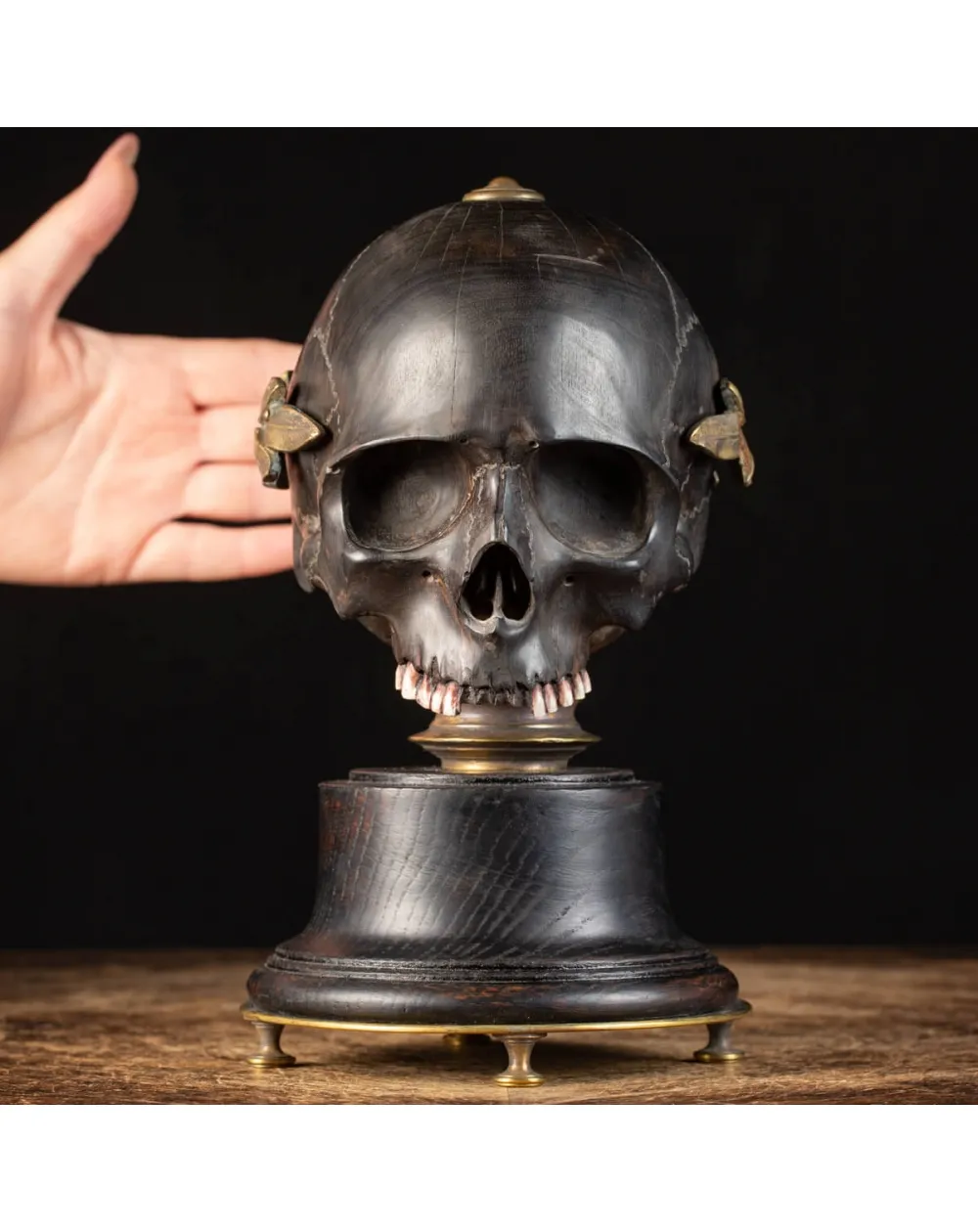 Scultura Teschio Memento Mori