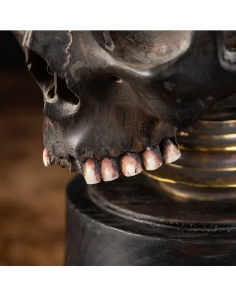 Scultura Teschio Memento Mori