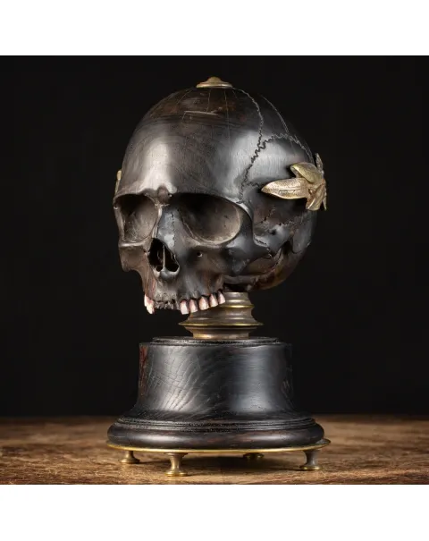 Scultura Teschio Memento Mori