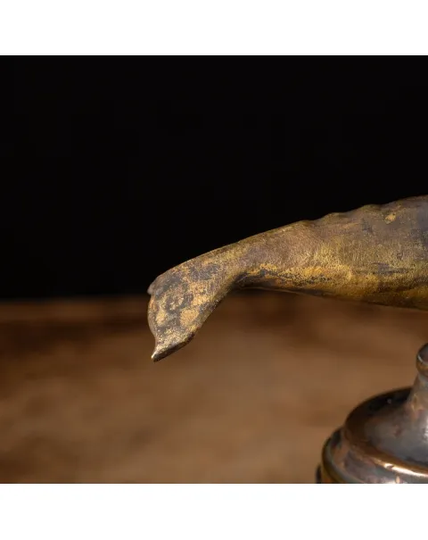 Scultura di balena con gorgonia