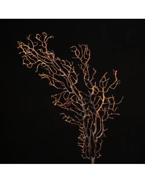 Scultura di balena con gorgonia