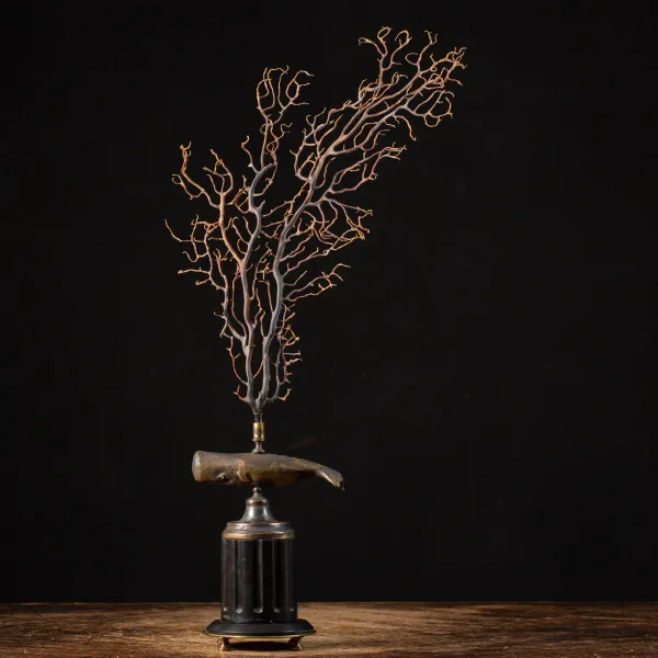 Scultura di balena con gorgonia