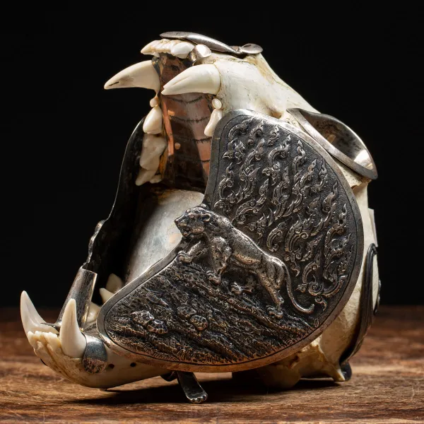 Teschio di Puma con montatura d'argento - Compendio per fumatori