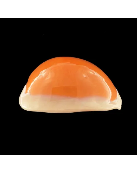 Cypraea Aurantium