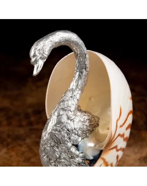 Scultura Cigno su Nautilus Pompilius