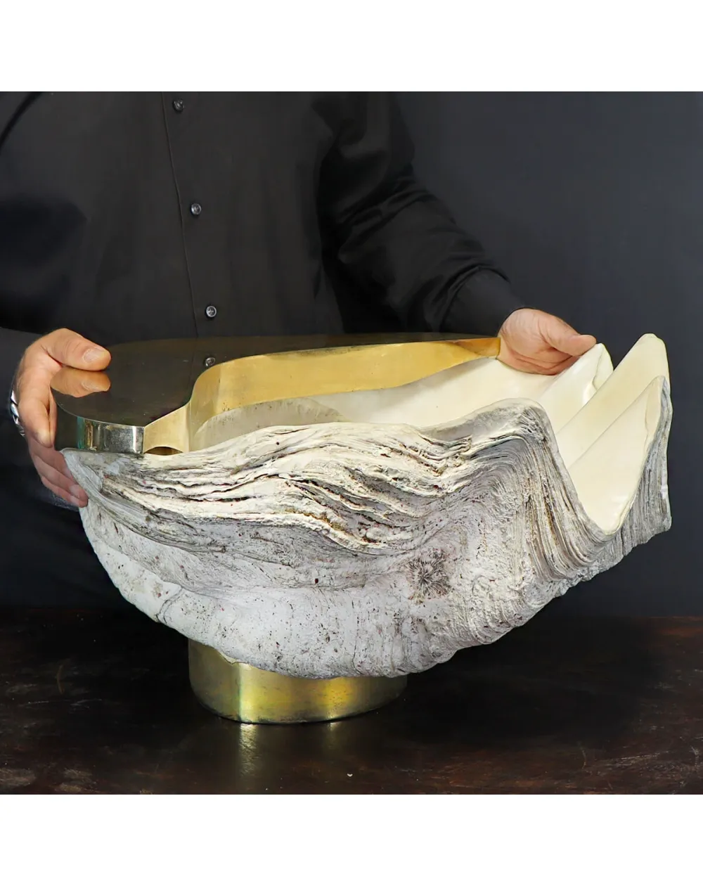 Tridacna Gigas