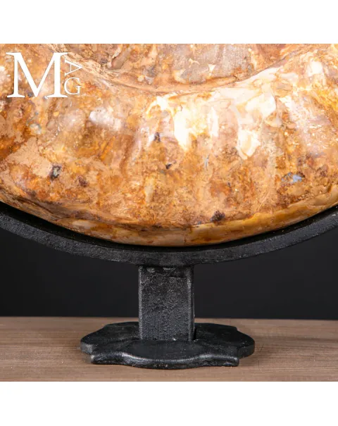 Douvilleiceras Fossile – Scultura Geologica del Tempo