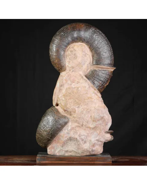 Litoceras fimbriatum: Eleganza Fossile dal Giurassico Francese.