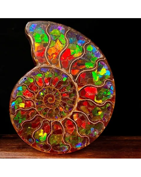 Ammonite Cleoniceras con Ammolite – Un Capolavoro Unico della Natura e dell'Arte.