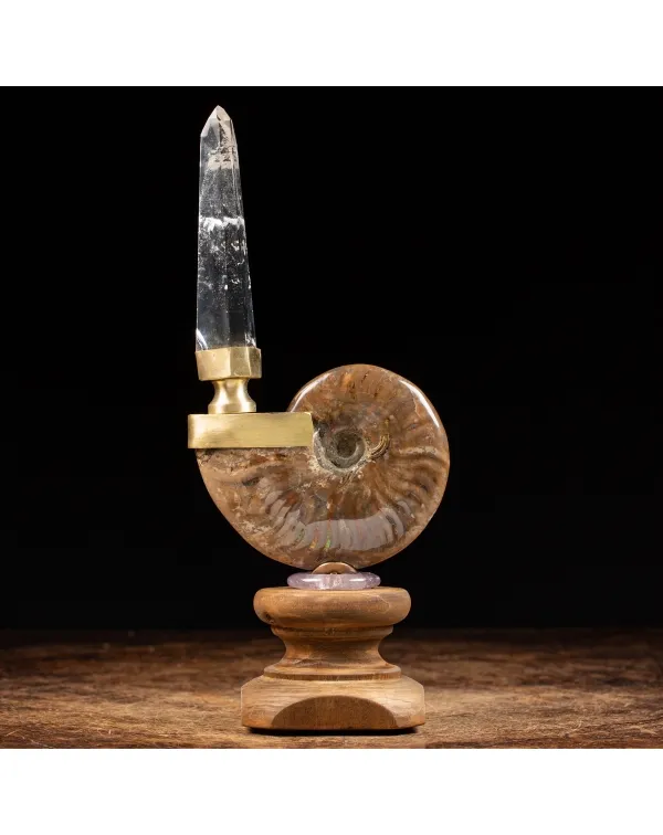 Ammonite Cleoniceras con punta di Quarzo