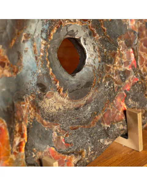 Ammonite Opalizzata con Pirite – Un Fossile di Squisita Bellezza.