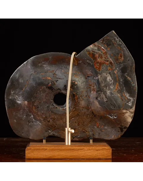 Ammonite Opalizzata con Pirite – Un Fossile di Squisita Bellezza.